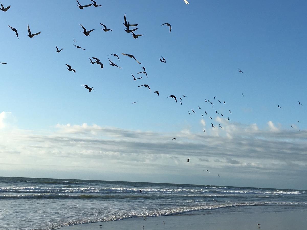 Spanish Main Cocoa Beach Luaran gambar